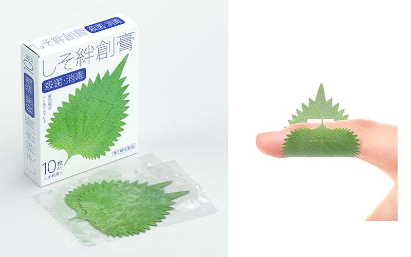 lá bạc hà lá bạc hà